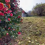 La Casa Delle Camelie Стреза