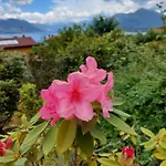 La Casa Delle Camelie Дом отдыха