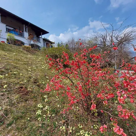 La Casa Delle Camelie