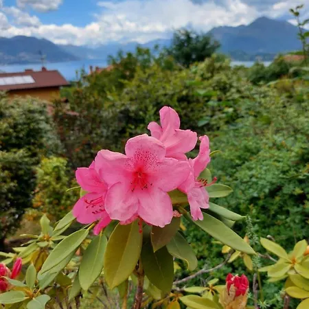 La Casa Delle Camelie Hébergement de vacances