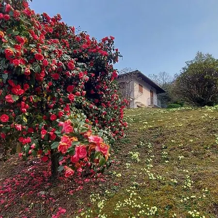La Casa Delle Camelie Hébergement de vacances