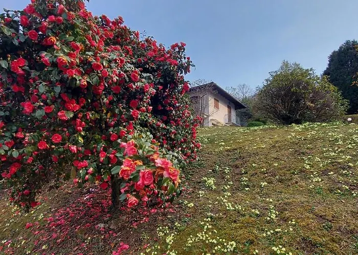 La Casa Delle Camelie Feriehus