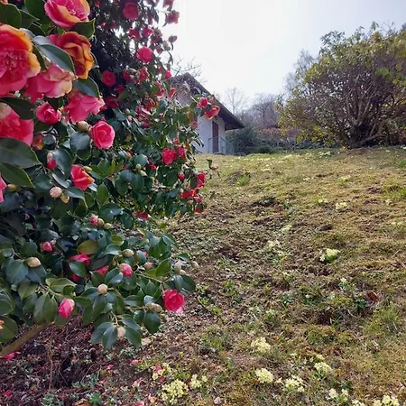 La Casa Delle Camelie 斯特雷萨